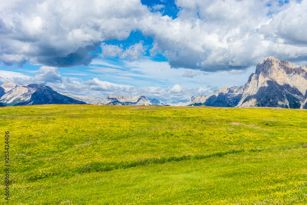 Fototapeta premium Alpe di Siusi, Seiser Alm with Sassolungo Langkofel Dolomite, a field with a mountain in the background