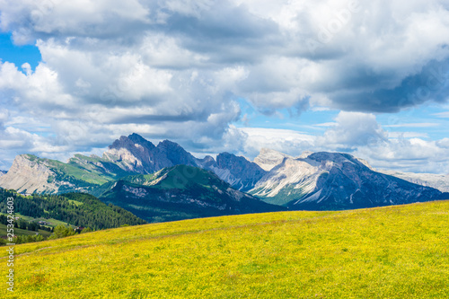 Alpe di Siusi, Seiser Alm with Sassolungo Langkofel Dolomite, a large green field with a mountain in the background