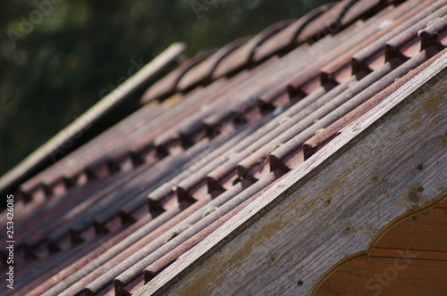 Gartenhaus Dach © Steven
