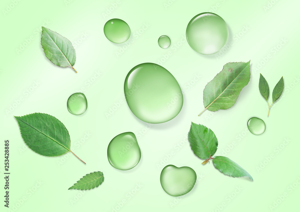 Spring background with water drops and leaves. Spring background with water drops and leaves.