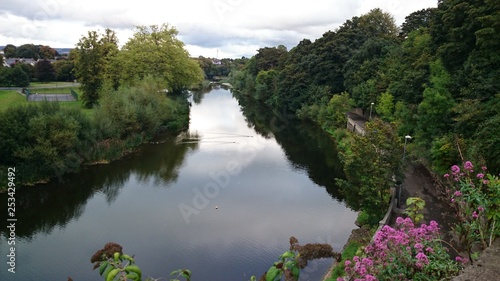 river in green