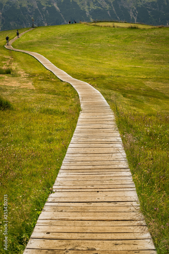 Wodden path in the park early in the morning Wodden path in the park early in the morning