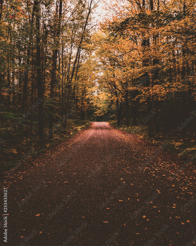 Fototapeta premium Autumn trails