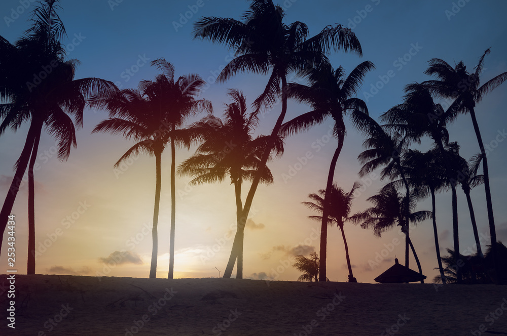 Obraz premium Tropical beach sunset landscape with palm trees silhouettes