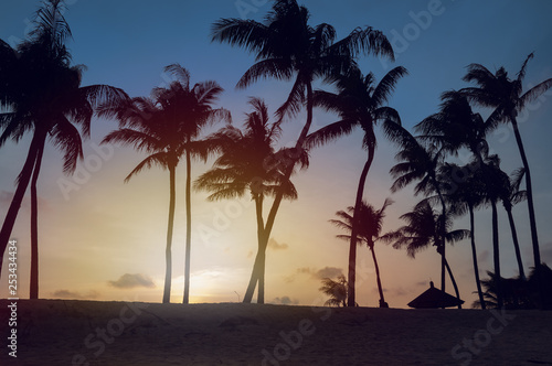 Tropical beach sunset landscape with palm trees silhouettes