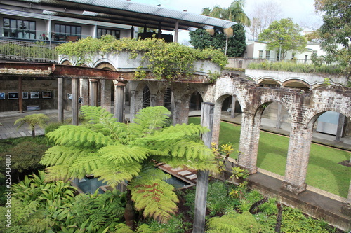 Photography Paddington Reservoir Gardens Sydney