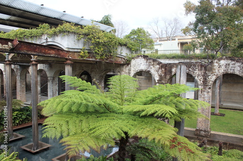 Paddington Reservoir Gardens Sydney photo