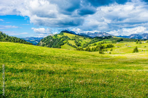 Alpe di Siusi, Seiser Alm with Sassolungo Langkofel Dolomite, a close up of a lush green field