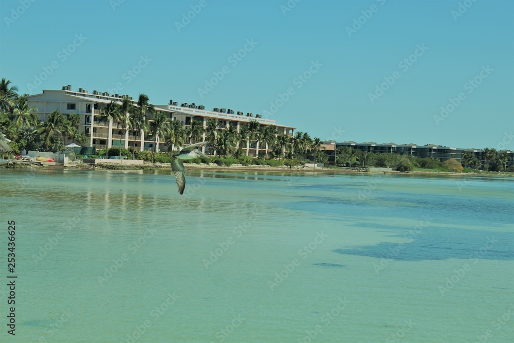 Fototapeta premium Key WestAfternoon