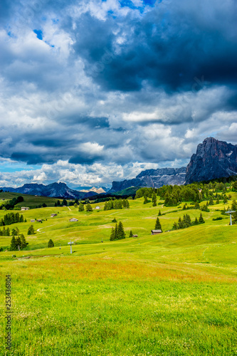 Alpe di Siusi  Seiser Alm with Sassolungo Langkofel Dolomite  a large green field with a mountain in the background