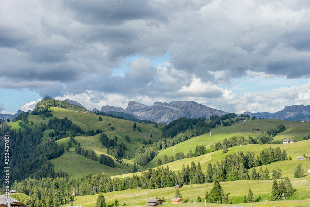 Alpe di Siusi, Seiser Alm with Sassolungo Langkofel Dolomite, a close up of a lush green field in a valley canyon