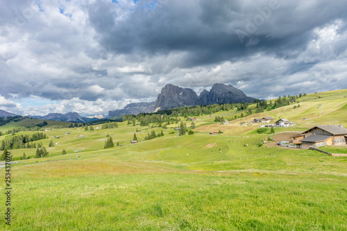 Alpe di Siusi  Seiser Alm with Sassolungo Langkofel Dolomite  a close up of a lush green field