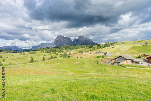 Alpe di Siusi, Seiser Alm with Sassolungo Langkofel Dolomite, a close up of a lush green field in a valley canyon