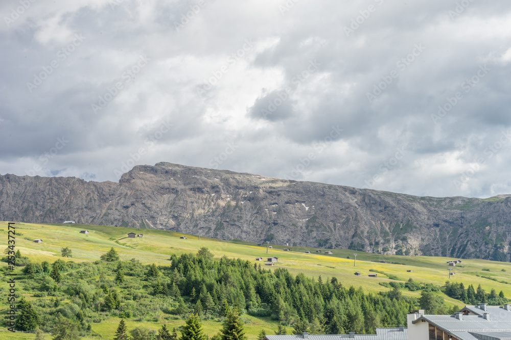 Alpe di Siusi, Seiser Alm with Sassolungo Langkofel Dolomite, a close up of a lush green field in a valley canyon