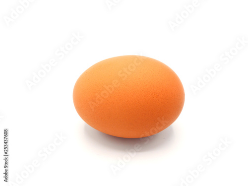 Single brown chicken egg isolated on white background