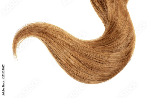 Wallpaper Mural Long brown hair isolated on white background Torontodigital.ca