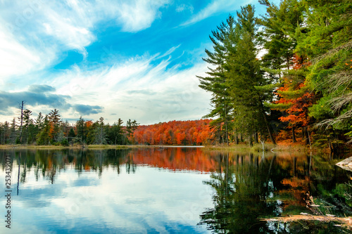Fototapeta Naklejka Na Ścianę i Meble -  Gatineau Park forest in fall 