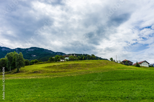 Wallpaper Mural Alpe di Siusi, Seiser Alm with Sassolungo Langkofel Dolomite, a close up of a lush green field Torontodigital.ca