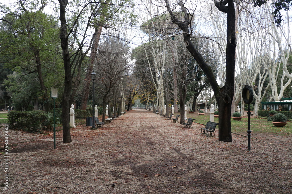 alley in the park during fall