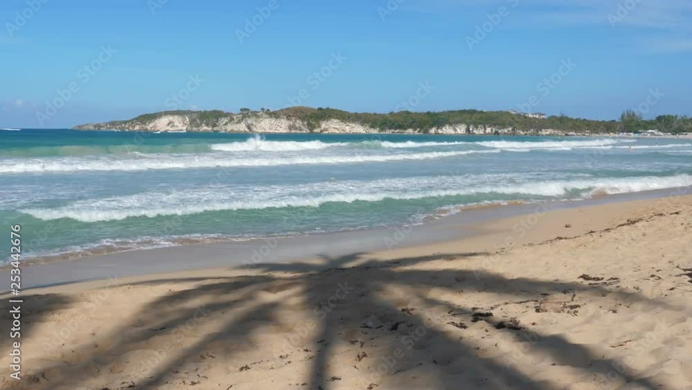 Palm tree casting shadow on macao beach with stone mountains, nobody Palm tree casting shadow on macao beach with stone mountains, nobody