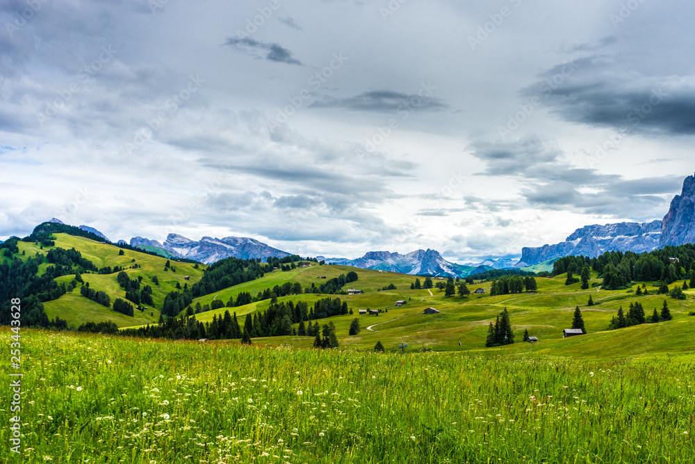 Alpe di Siusi, Seiser Alm with Sassolungo Langkofel Dolomite, lush green field