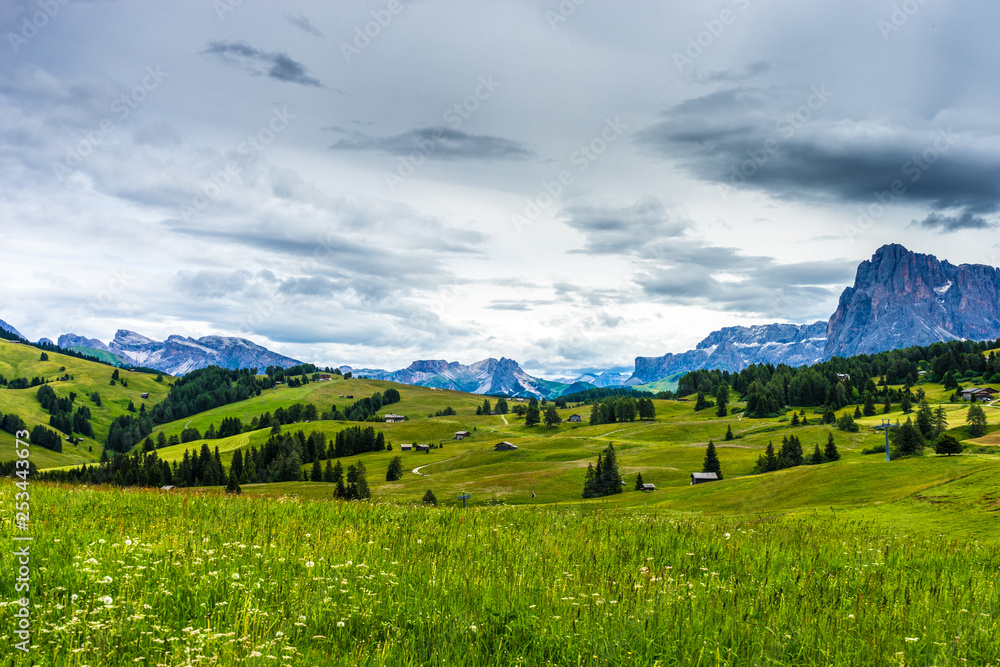 Alpe di Siusi, Seiser Alm with Sassolungo Langkofel Dolomite, lush green field Alpe di Siusi, Seiser Alm with Sassolungo Langkofel Dolomite, lush green field