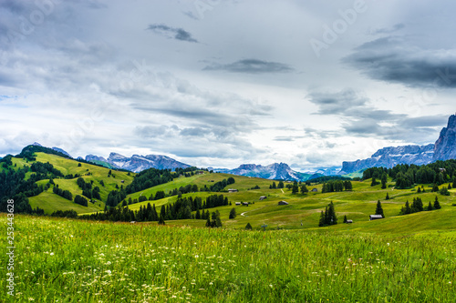 Alpe di Siusi  Seiser Alm with Sassolungo Langkofel Dolomite  lush green field