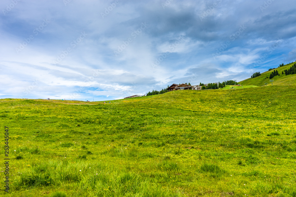 Alpe di Siusi, Seiser Alm with Sassolungo Langkofel Dolomite, a close up of a lush green field Alpe di Siusi, Seiser Alm with Sassolungo Langkofel Dolomite, a close up of a lush green field