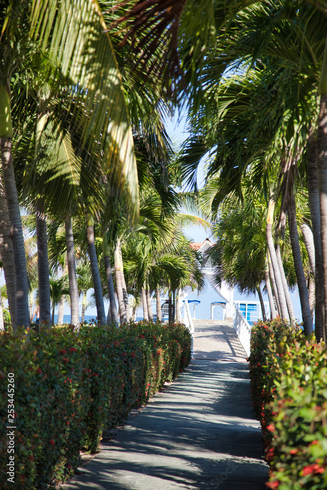 Obraz premium Cuba, Varadero