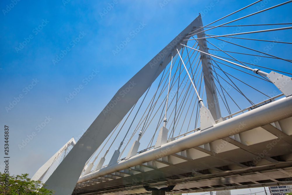 Fototapeta premium Guadalajara, Mexico, Matute Remus Bridge