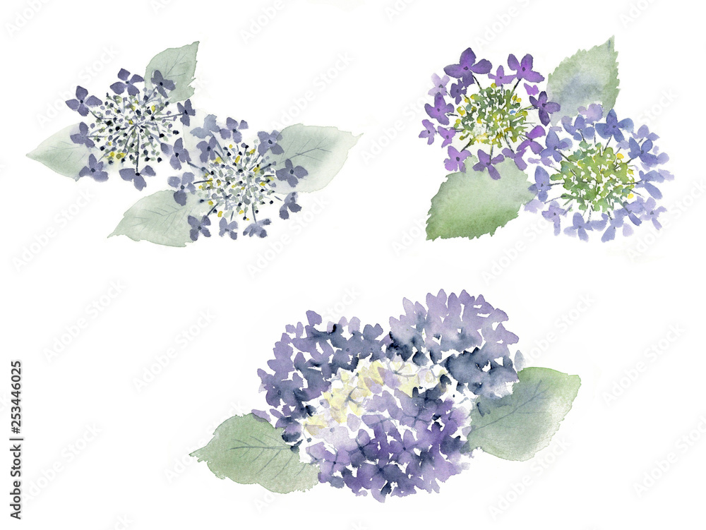 あじさい 水墨画 墨絵 セット Stock Illustration Adobe Stock