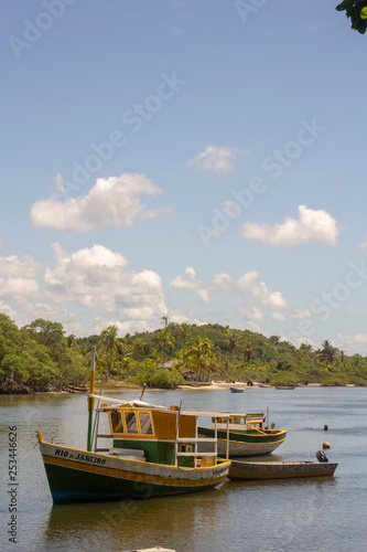Fototapeta Naklejka Na Ścianę i Meble -  boats on beach in Caraíva - Bahia - Brazil - beach