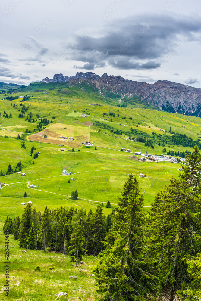 Fototapeta premium Alpe di Siusi, Seiser Alm with Sassolungo Langkofel Dolomite, lush green field in Seiser Alm Puflatsch Bullaccia