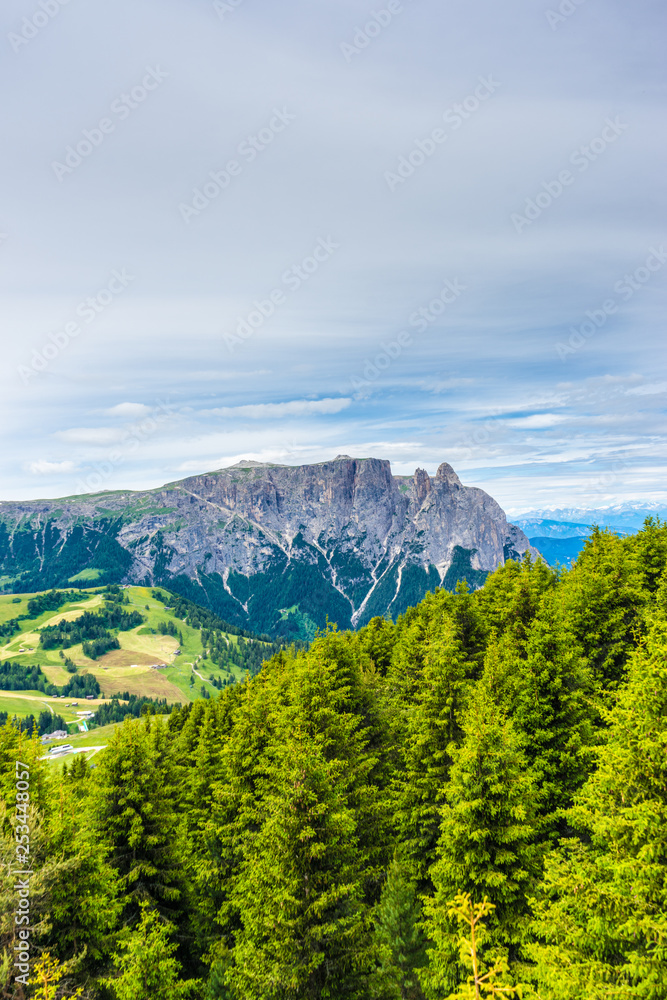 Alpe di Siusi, Seiser Alm with Sassolungo Langkofel Dolomite, a tree with a mountain in the background