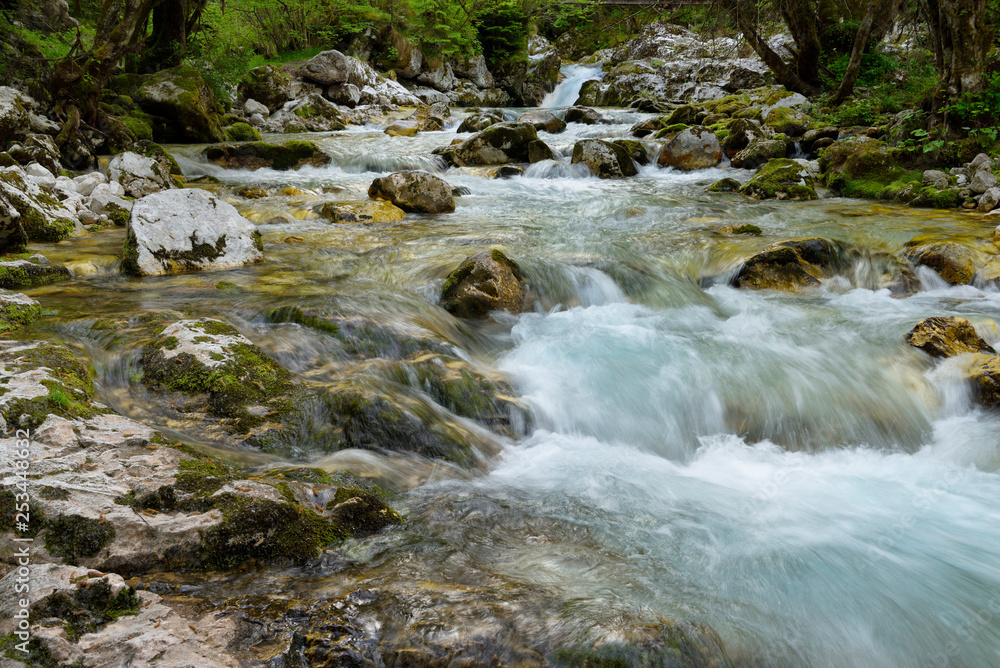 Clear cold alpine Lepenica river in Spring at Sunikov Vodni Gaj Nature Preserve in Triglav National Park Julian Alps Lepena Valley Slovenia