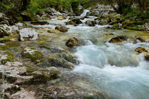 Clear cold alpine Lepenica river in Spring at Sunikov Vodni Gaj Nature Preserve in Triglav National Park Julian Alps Lepena Valley Slovenia