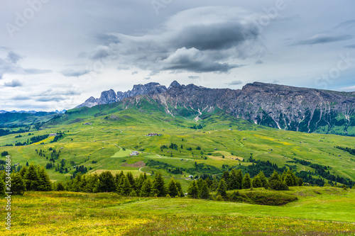 Fototapeta Naklejka Na Ścianę i Meble -  Alpe di Siusi, Seiser Alm with Sassolungo Langkofel Dolomite, a large green field with a mountain in the background