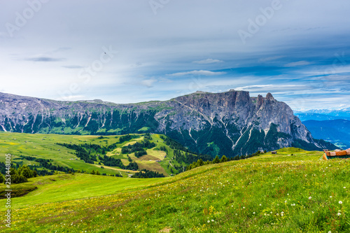 Alpe di Siusi, Seiser Alm with Sassolungo Langkofel Dolomite, a large green field with Benbulbin in the background © SkandaRamana