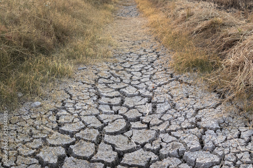 Water ditches that are not completely dry, with cracks in the ground And the grass around it is dying
