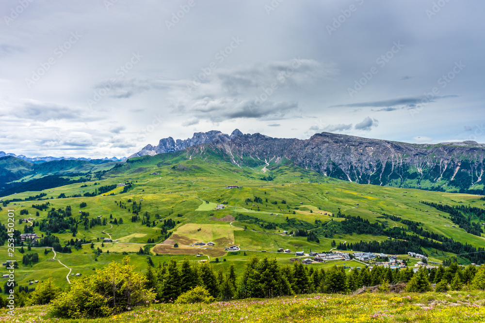 Alpe di Siusi, Seiser Alm with Sassolungo Langkofel Dolomite, lush green field in Seiser Alm Puflatsch Bullaccia