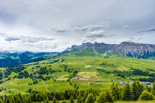 Alpe di Siusi  Seiser Alm with Sassolungo Langkofel Dolomite  lush green field in Seiser Alm Puflatsch Bullaccia