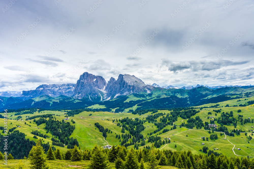 Alpe di Siusi, Seiser Alm with Sassolungo Langkofel Dolomite, lush green field in Seiser Alm Puflatsch Bullaccia Alpe di Siusi, Seiser Alm with Sassolungo Langkofel Dolomite, lush green field in Seiser Alm Puflatsch Bullaccia