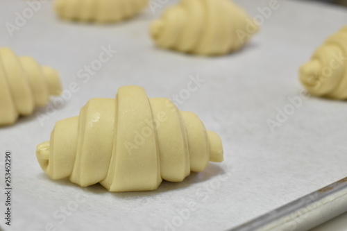 Croissant dough