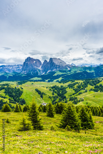 Alpe di Siusi, Seiser Alm with Sassolungo Langkofel Dolomite, a large green field with a mountain in the background