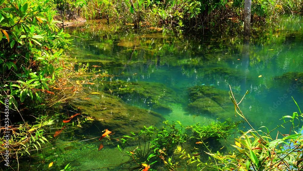 Emerald spring pool among tropical forest beside sea at Krabi province, The south of Thailand. Emerald spring pool among tropical forest beside sea at Krabi province, The south of Thailand.