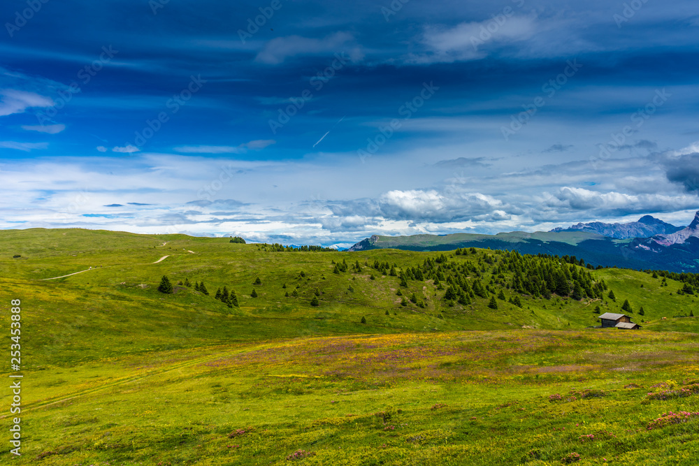 Alpe di Siusi, Seiser Alm with Sassolungo Langkofel Dolomite, a large green field with trees in the background