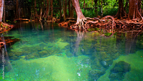 Fototapeta Naklejka Na Ścianę i Meble -  Emerald spring pool among tropical forest beside sea at Krabi province, The south of Thailand.