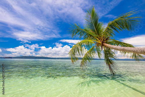 Fototapeta Naklejka Na Ścianę i Meble -  Tropical beach- calm sea surf, palm tree and blue sky - Idyllic tropical rest on island coast