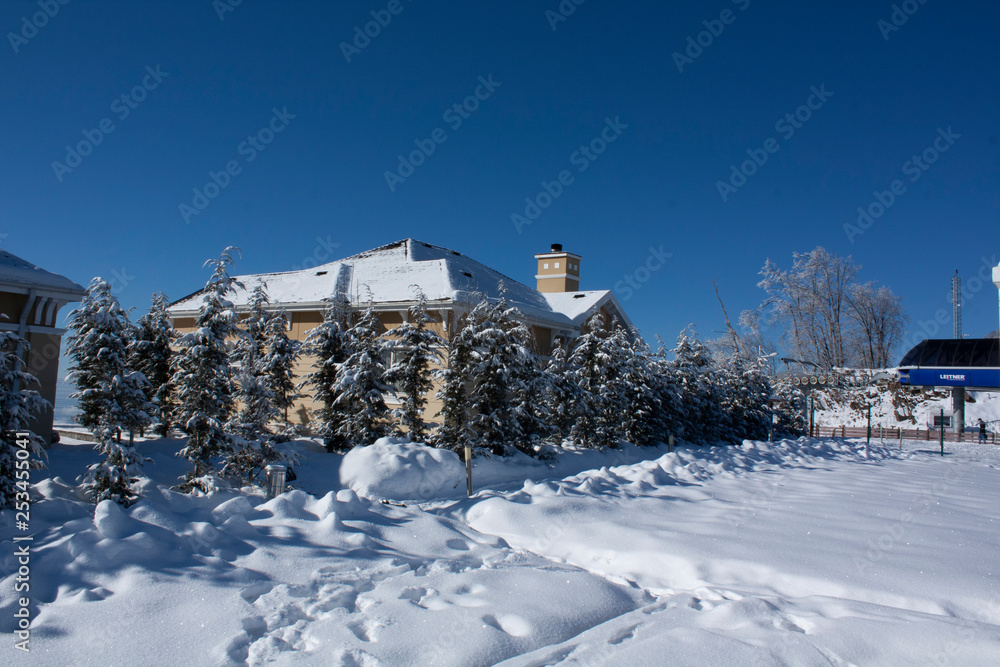 small village in winter