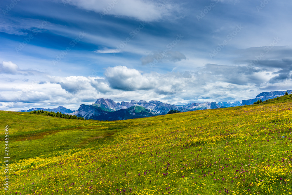 Alpe di Siusi, Seiser Alm with Sassolungo Langkofel Dolomite, a large green field under a cloudy blue sky